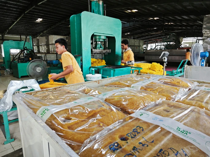 Đầu tư ra nước ngoài từ những dự án trồng cao su